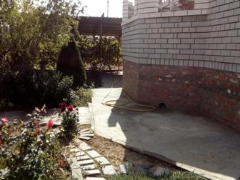  foto                10  71472341  