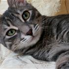 ������� � ������ ���� ����� ���� ���