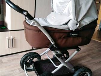 - Peg-perego Culla Auto   ,        ,        ,   