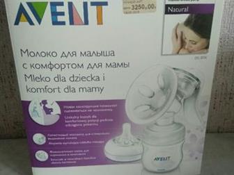   Avent         -  ,      51: /  