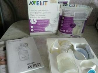   Avent         -  ,      51: /  