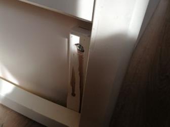  ,   ,   (  ,  ),     ,   ,  ,  