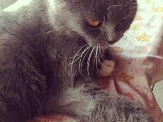     ,    ,  , ,  ,   ,  ,    ,         