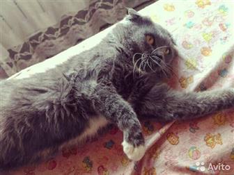     ,    ,  , ,  ,   ,  ,    ,         