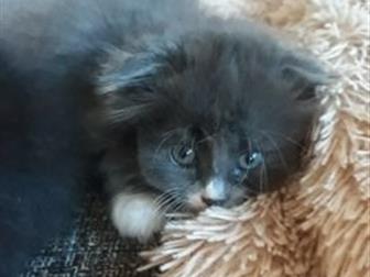  , ,  ,   ,  2 ,       ,   ,  