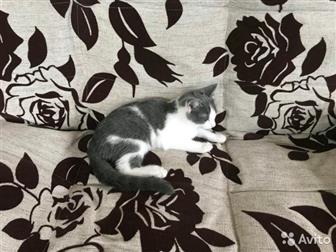   ,    2018 ,    ,    ,    ,  , , , ,    