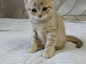      !   ,   ,             ,    