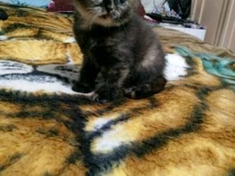      (   ) , , ,  12, 10, , ,      , , ,        