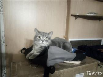    ,   3 ,    ,    ,   ,  3806217    ,  