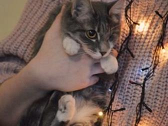   , , 6 ,  ,  , ,    , ,  