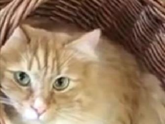     ,   5  ,       ,     ,     ,  )))  