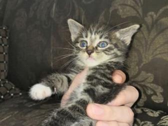     ,  19 ,  ,   ,   ,   ,  , 3     