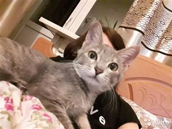 !      ,  ,    ,    !    