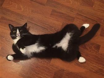  ,    ,    ,   ,     ,  ,   ,  