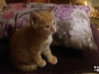      , 1   21 ,   ,    ,      !  