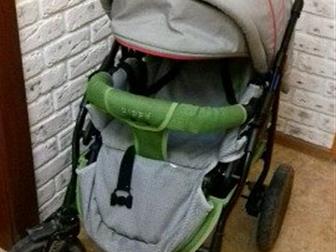   zippy verdi    1000       500,   , : /  