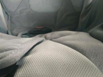  Recaro Young Profi plus,  0  13,  - ,     , - , : /  