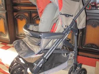  Inglesina Zippy     ,  -   ,   , : /  