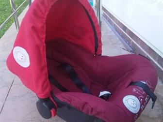  bertoni,   ,  /  35  , : /  