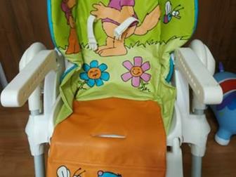 Chicco Polly 2 1 ,     ,      ,   ,     