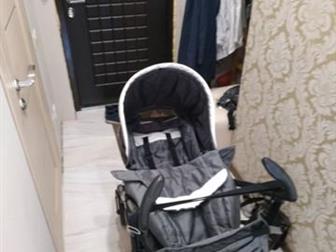    ,     ,   peg perego switch,        ,     