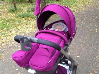 Stokke cruzi     ,          ,      ,  / ,   