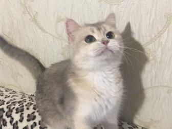       ,   , ,   ,  1-3  -      