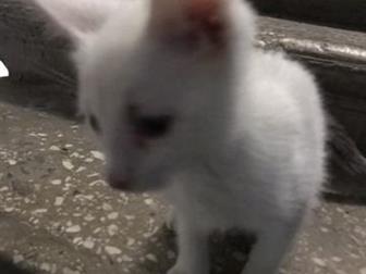      ,      3,    ,         ,     ,  