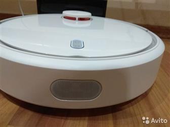  - xiaomi,      ,    5 ,   ,    