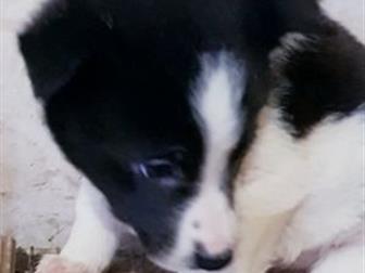 - 2, 5,    ,       ,    ,  