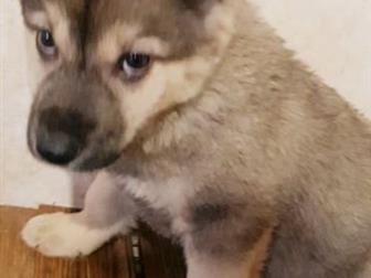 ����� -�������,  ��� ������ � ������� ����� � ��������,    ��������� �� ���������,  ������� ������,  ������� ����� ���� ������, � �������������