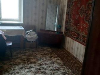  2-  ,  ,  , ,  ,    ,   -