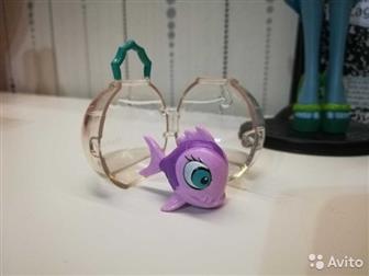   (13 ): /  