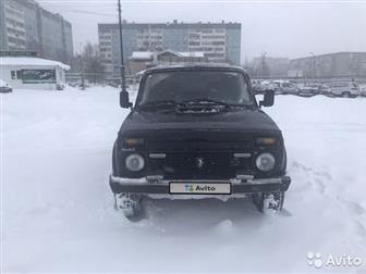  NIVA 1999     !!! ,     !!!,   !!!  ,  1, 7/80,   