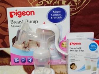   Pigeon ,   ,          ,    ,   