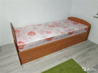   1,5-  (205 )  ,  -