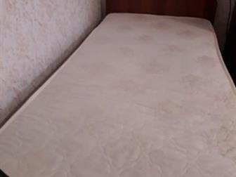   ,   ,   ,    ,      ,  ,  -