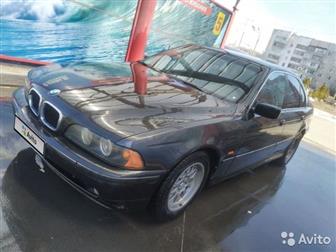  ,  BMW 5,      ,    ,  ,         -