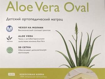      ,      aloe vera,   ,   ,  ,    ,  