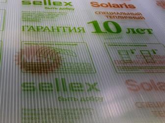   Sellex Solaris  8   2,1   10         Sellex     