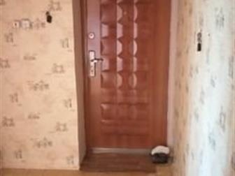  ,  ,    ,   ,  -  ,   , , ,    650 , ,   20 !!!  