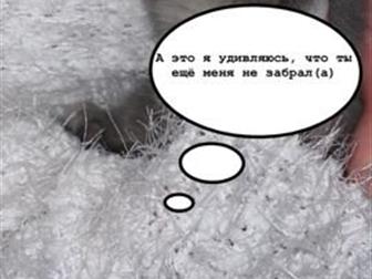   - , ,    ??  !  ,     -    ,   100 ,    (   
