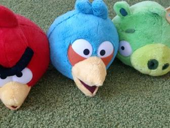    angry birds,    ,      , :   