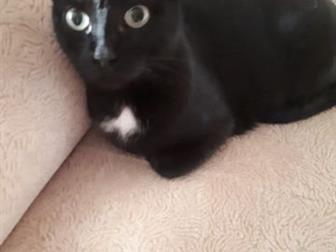       , , ,         ,    - , ,  