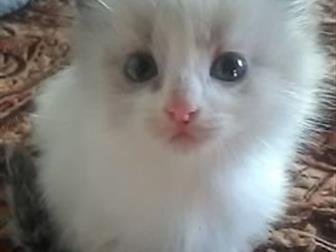   ,  ,   ,    , ,   ,      / ,  ,   
