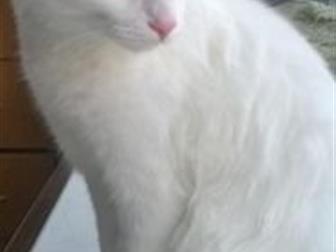        ,    ,     ,       ,  