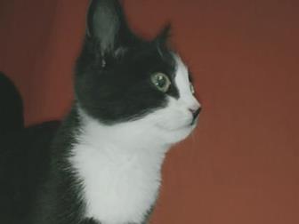     ! , , 3 ,     ,    ,   ,        