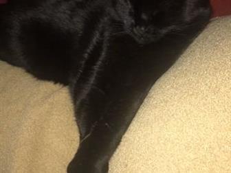      ,     ! , , !   ,  !  