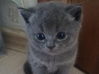  1 ,     ,         ,  