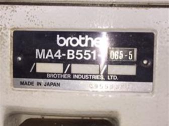     brother (      )    220   